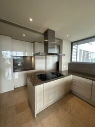 Ardmore Residence (D10), Condominium #479134491
